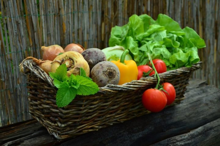 verdure spazio