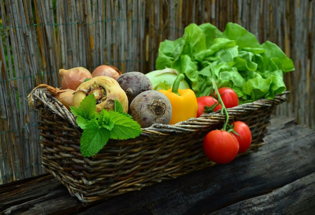 verdure spazio
