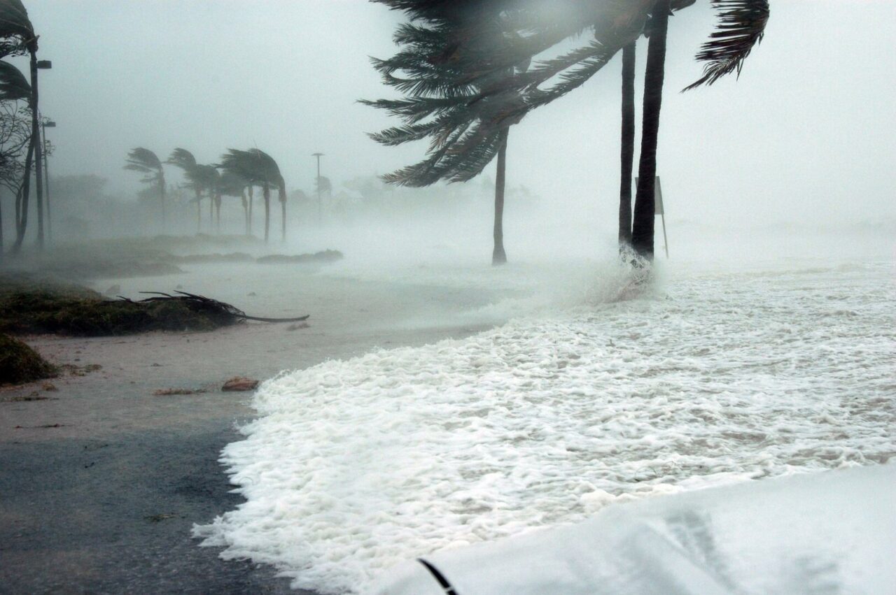 key west 81664 1920