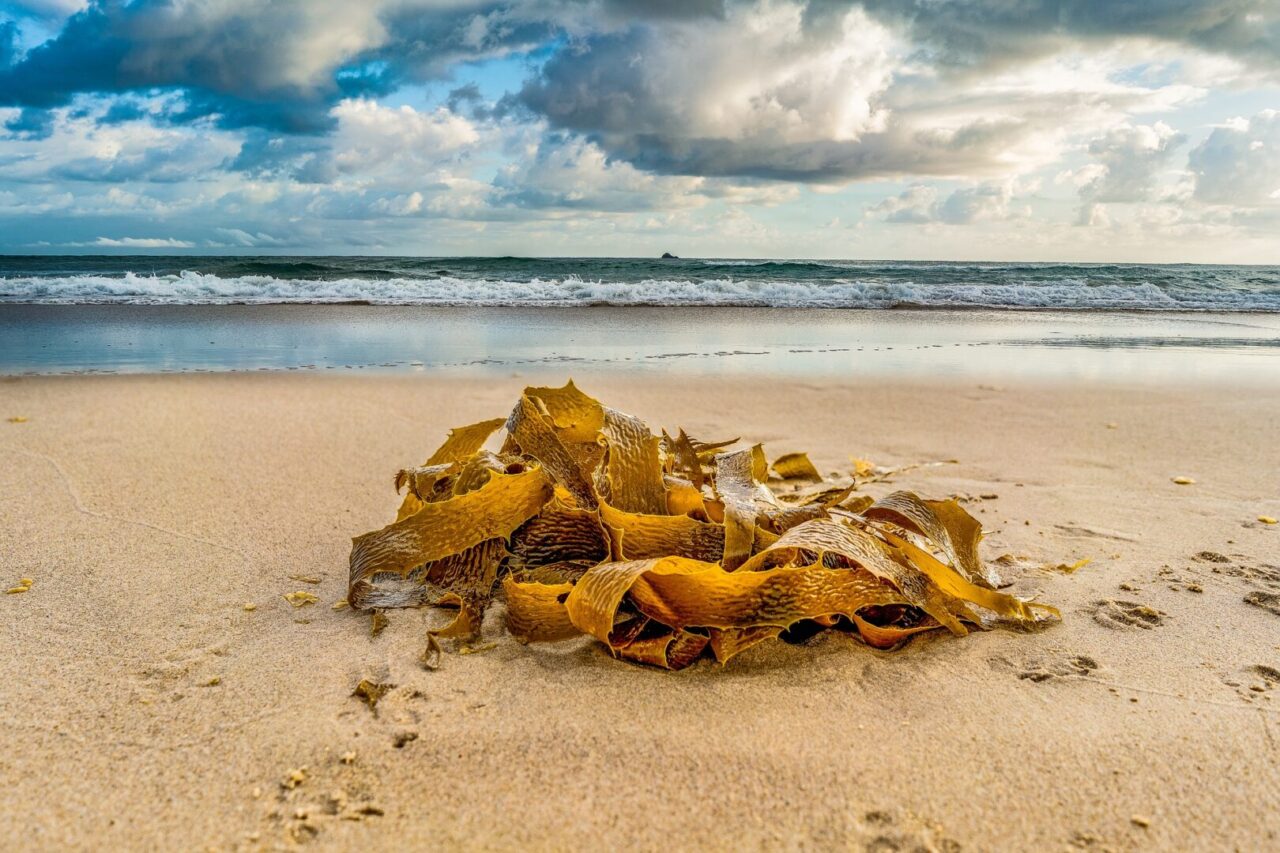 seashore 3834920 1920