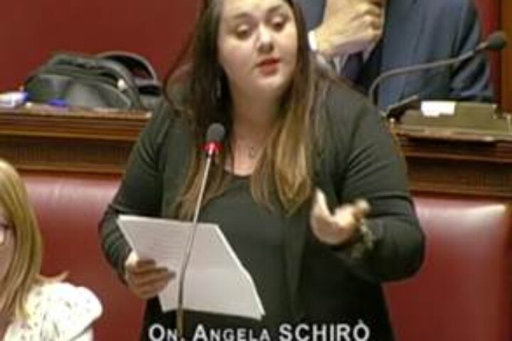 schiroaula