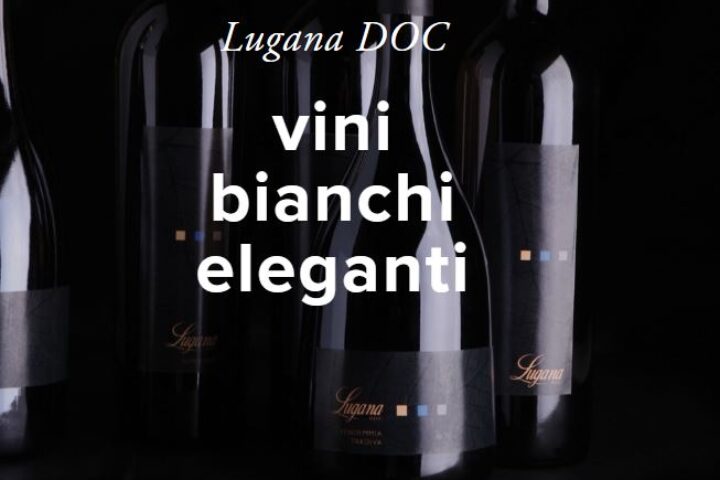vinoluganadoc