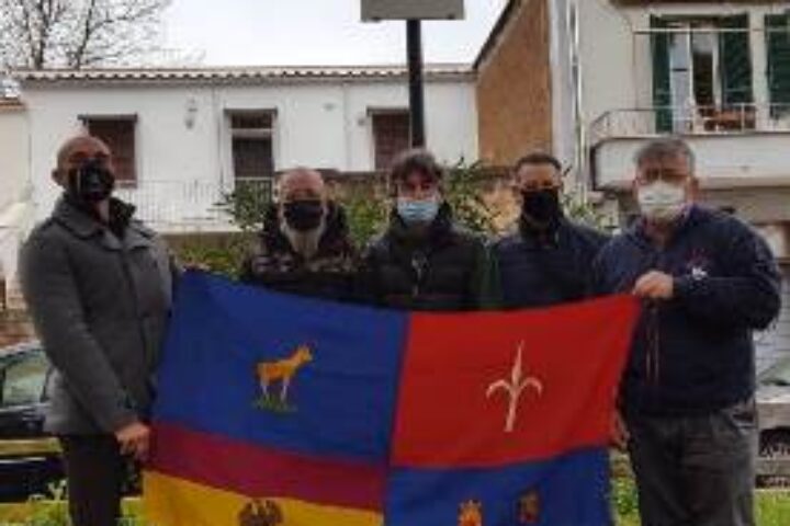 7nettuno