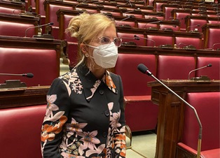 nissolicamera20 1