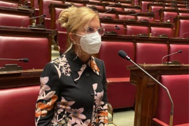 nissolicamera20
