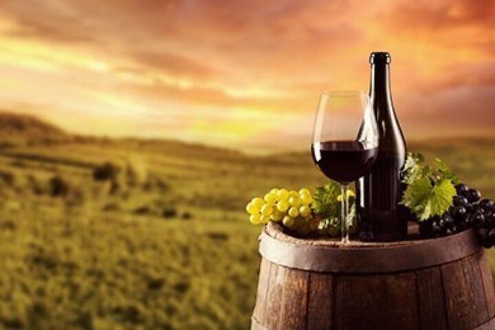 vino 6