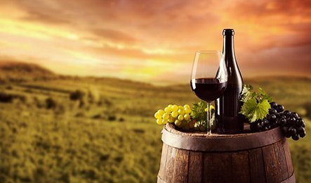 vino 6