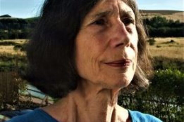 diane pacitti