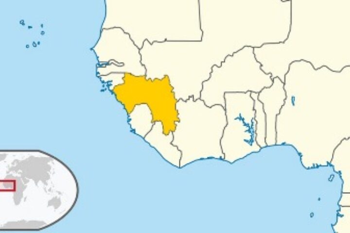 guinea