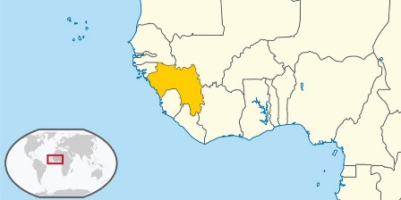 guinea
