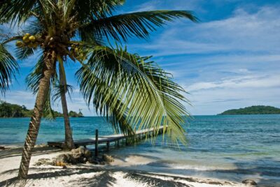 paradise 
