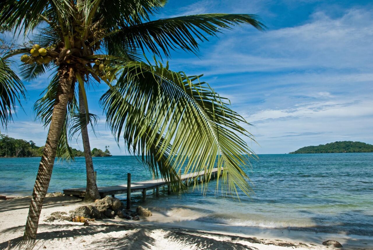 paradise
