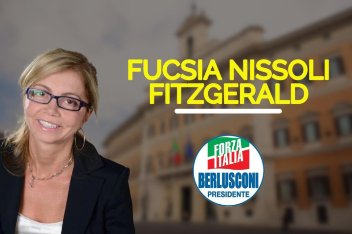 nissoli.forza italia (1)