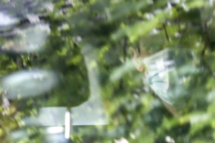 092948274 8989316e 8245 487b 87de c7c1d7fe6ca6