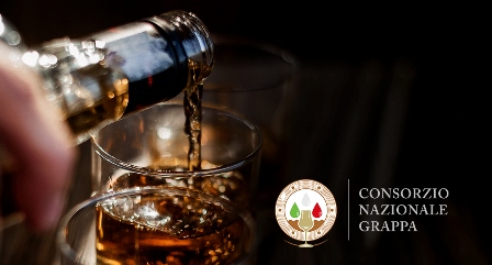 11grappa