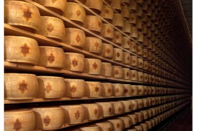 16padano