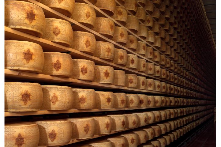 16padano