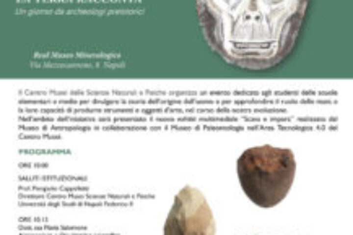 diapositiva 1