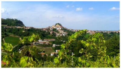 vezza+alba+piemonte