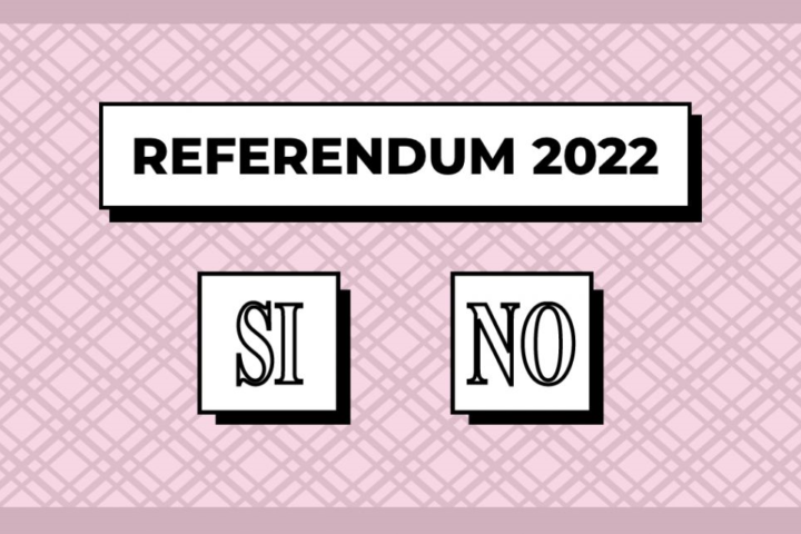 referendum22