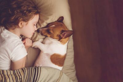 cani e bambini