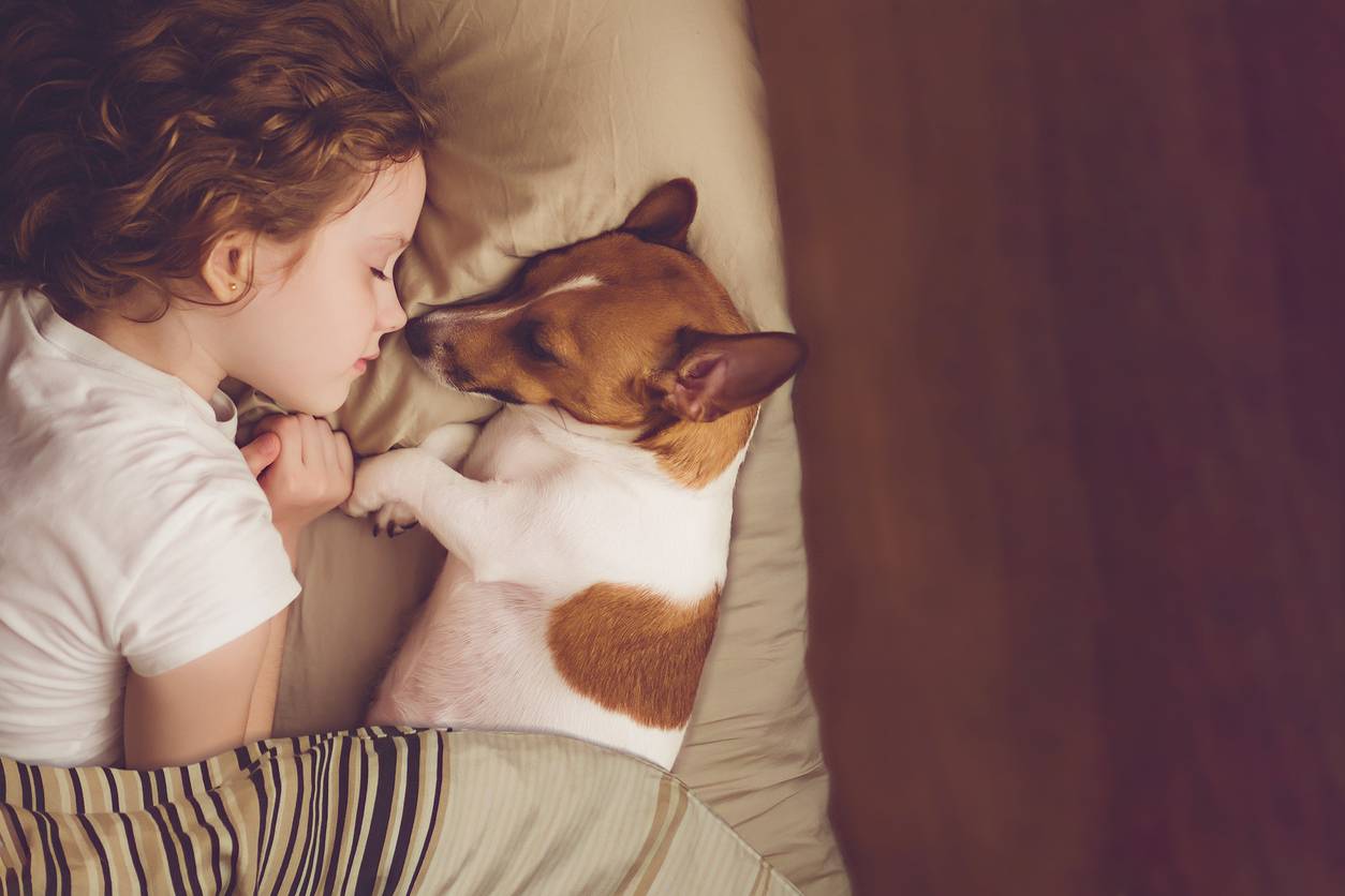cani e bambini