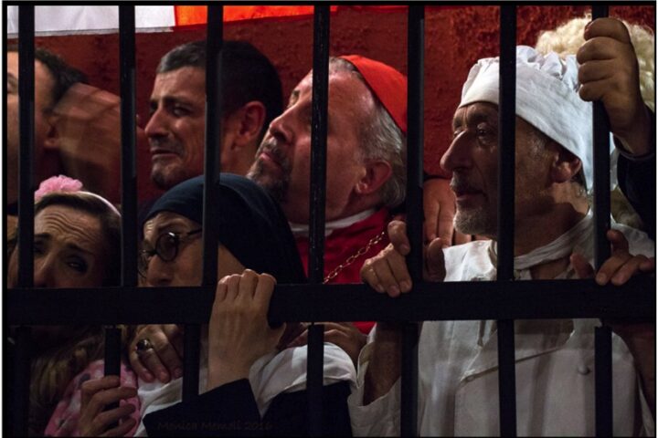 i galli della loggia immagine tratta dal film (3)