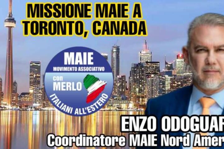 odoguardi toronto 768x403