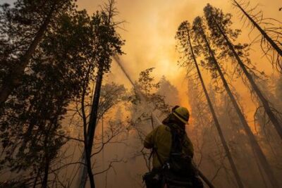 la california brucia, migliaia di evacuati per le fiamme