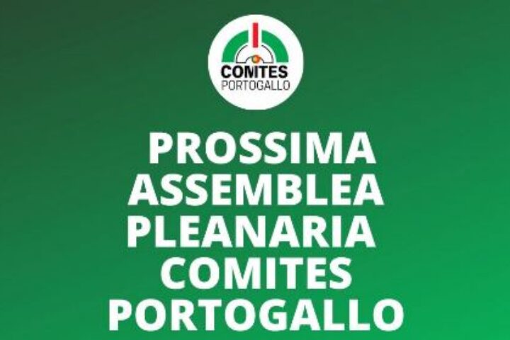 15porto