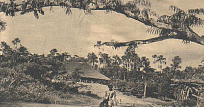 image001