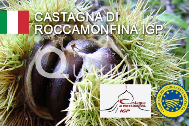 26castagna