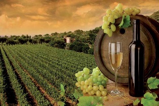 vignevino