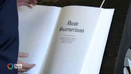 6guarneriano
