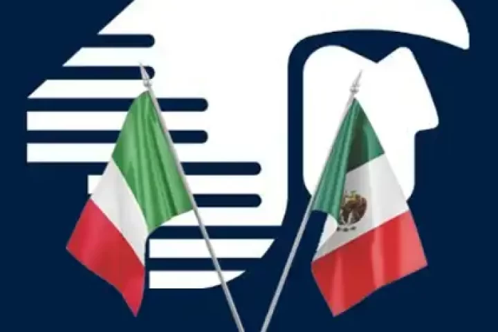 volodirettovert
