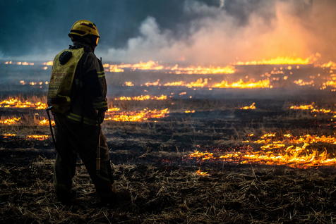 more than 200 victims of fires in chile