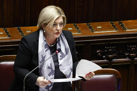 italian chamber of deputies question time