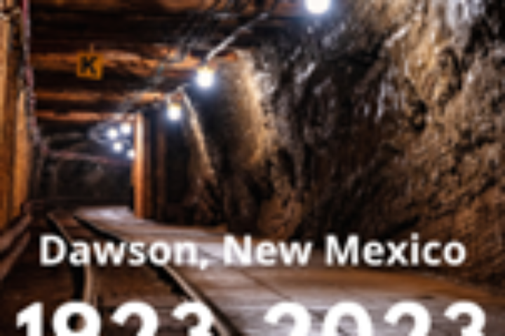 consulta degli emiliano romagnoli nel mondo 8 febbraio centenario della tragedia della miniera di dawson new mexico usa immagine9