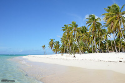 saona