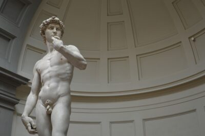 david di michelangelo