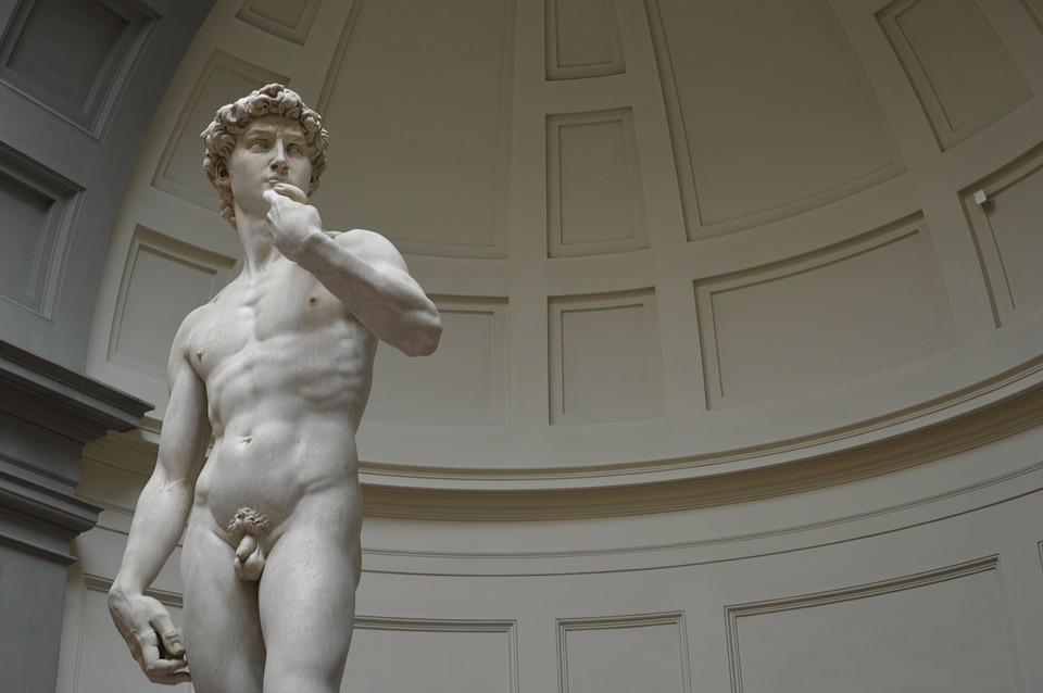david di michelangelo