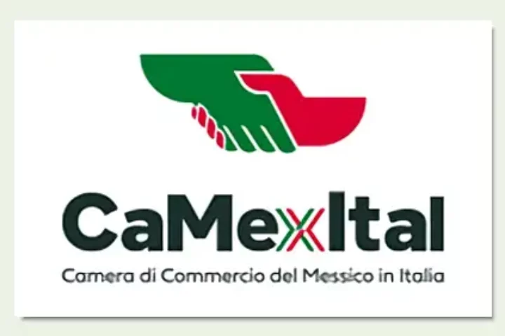 camexitalvert