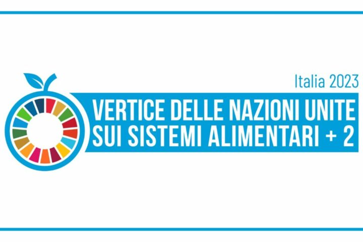 vertice delle nazioni unite sui sistemi alimentari sostenibili