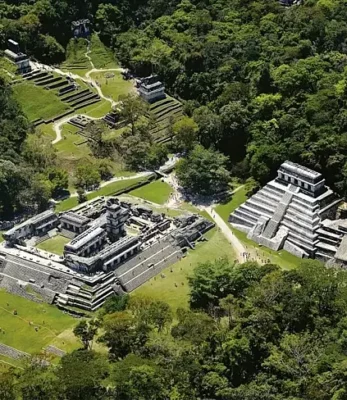 mexicanapalenquevert