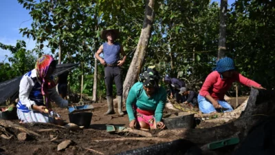 478ffd1dcc7504e4dcfcc1a631583528c517e60f