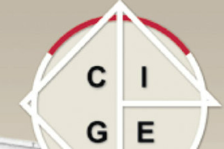 logo cgie1 615x223