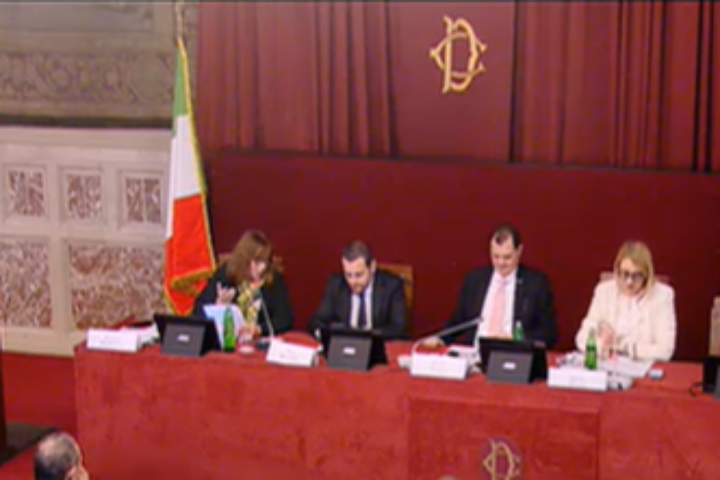 camera dei deputati emigrazione immagine3