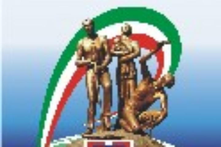 logo associazione piemontesi nel mondo immagine10