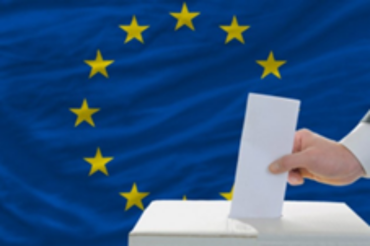 dipartineto politich eeuropee elezioni europee immagine4
