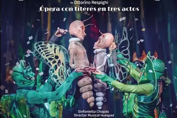 operaliricavert